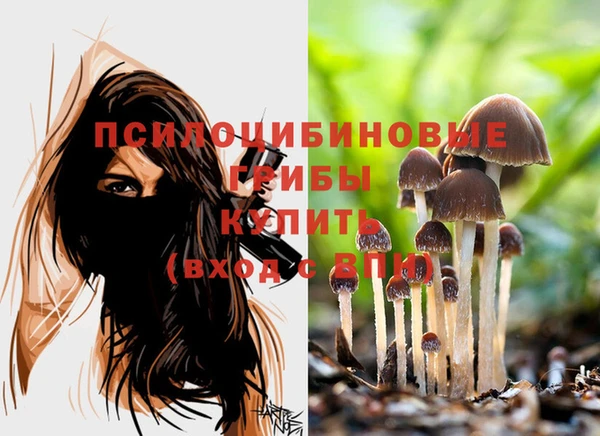 а пвп мука Алзамай