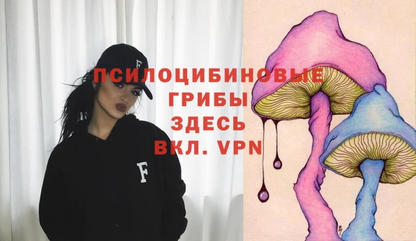 МДМА Осташков