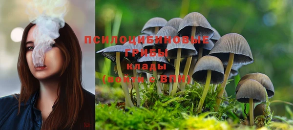 прущий лед Алексин