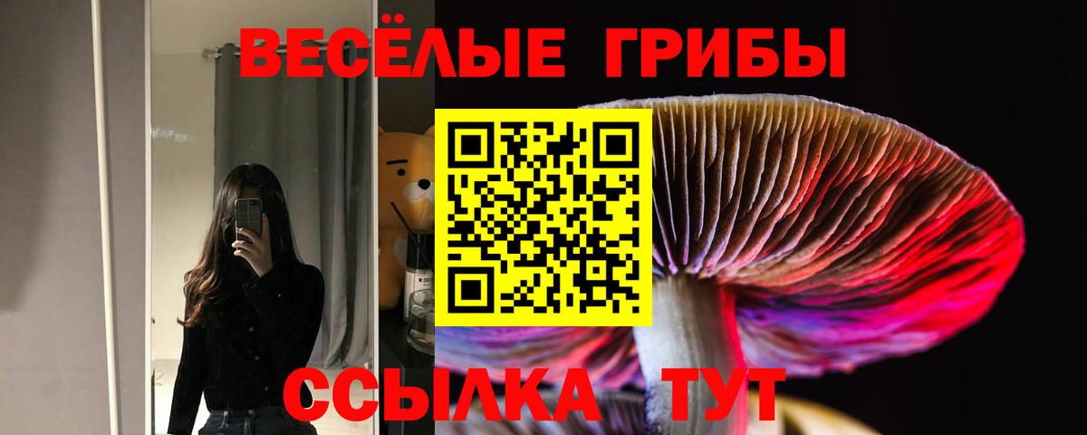 Владивосток  Псилоцибиновые грибы мицелий  дарнет шоп  Вход с VPN 