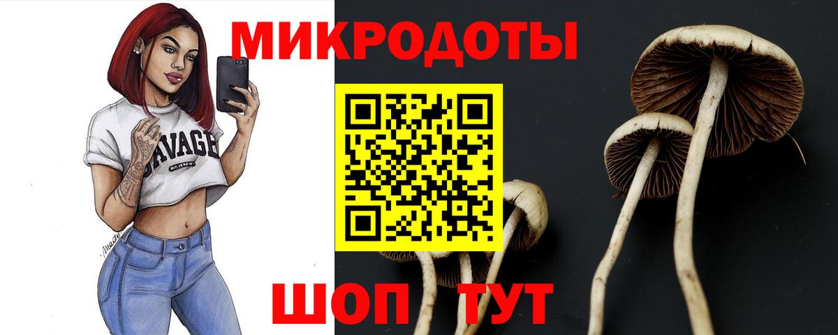 Псилоцибиновые грибы Cubensis Владивосток