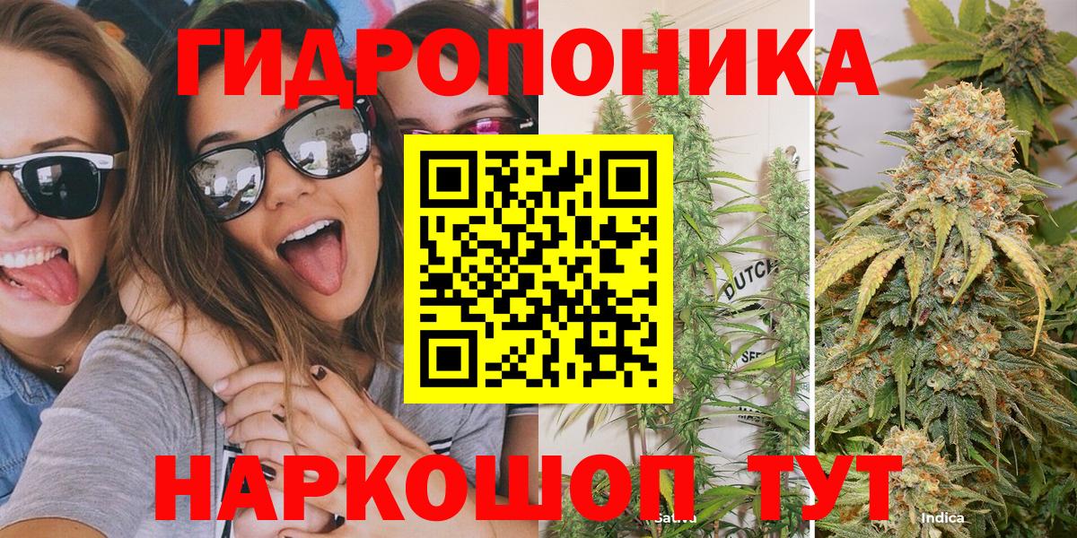 Марихуана MAZAR  Вход с VPN  Каннабис MAZAR  Владивосток  Каннабис Ganja 